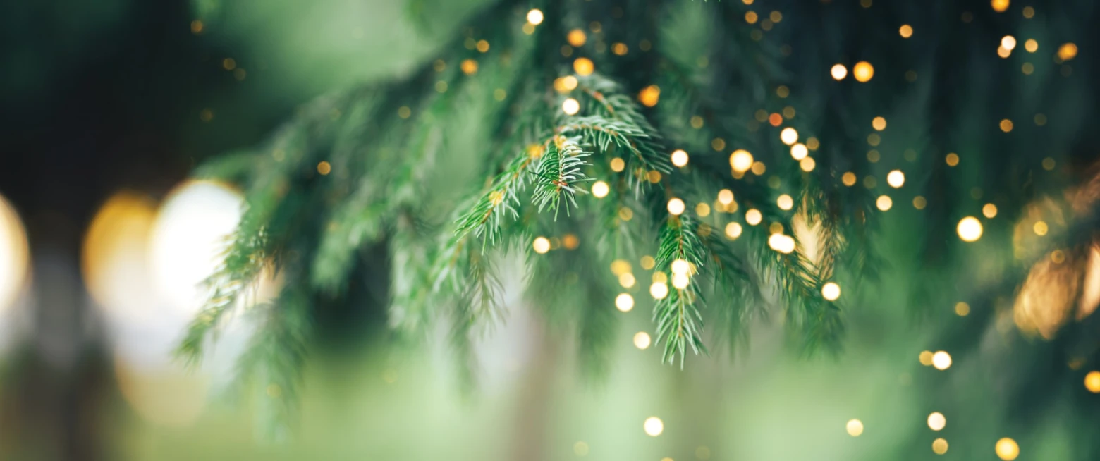 Christmas Tree Festival, St Patrick's Newry