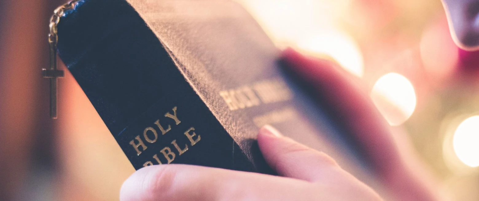 The year ahead in the diocese