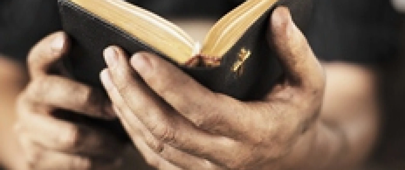 Bible Week because…the Bible