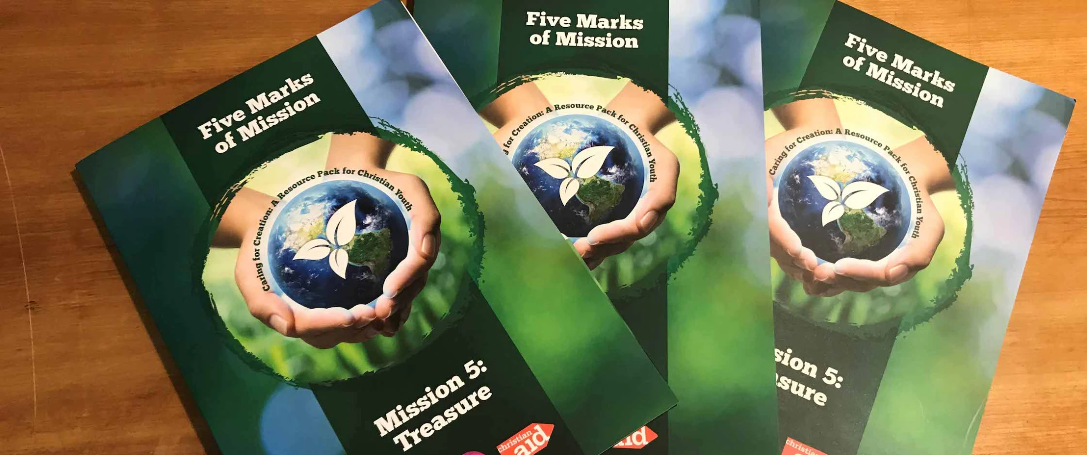 New CIYD resource on caring for Creation