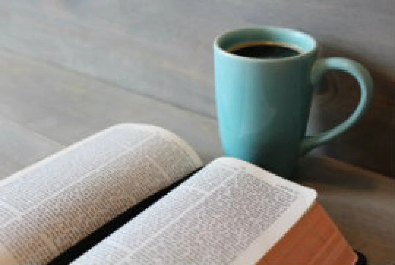 Could you have a ministry as a Diocesan Lay Reader?