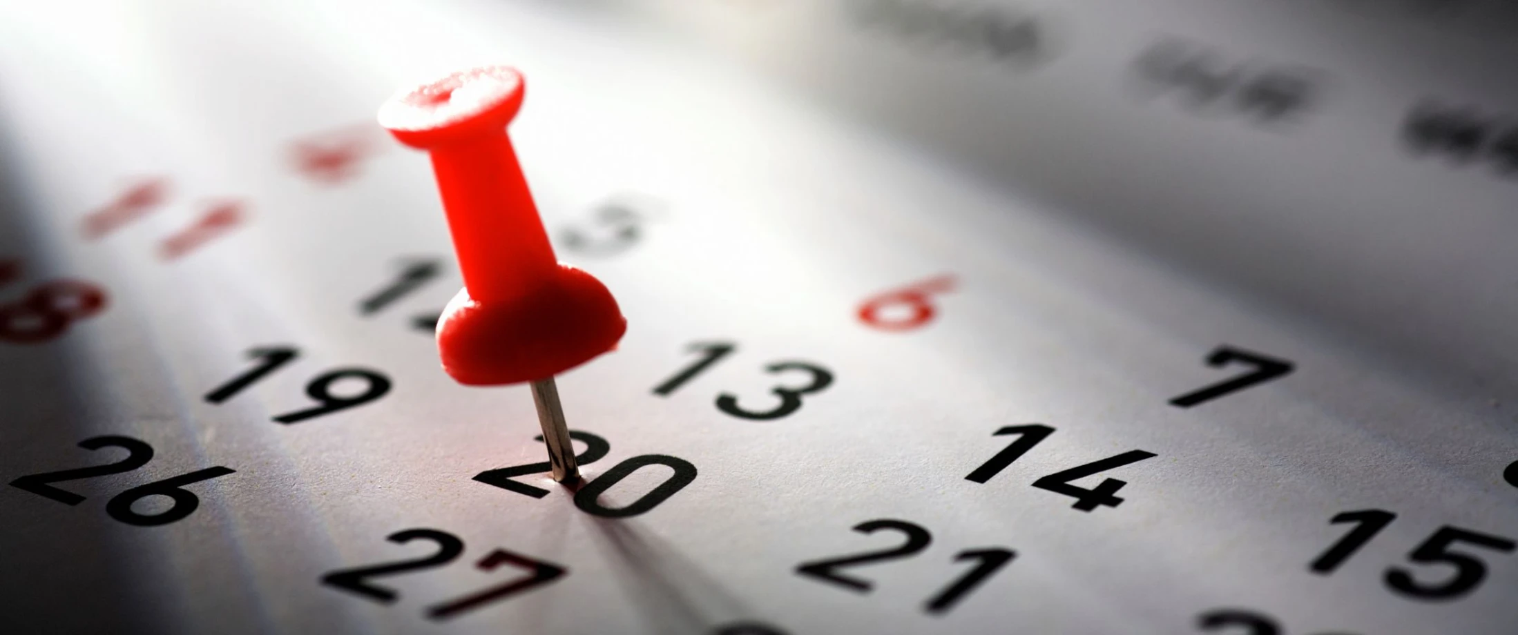 Dates for your diary in 2023