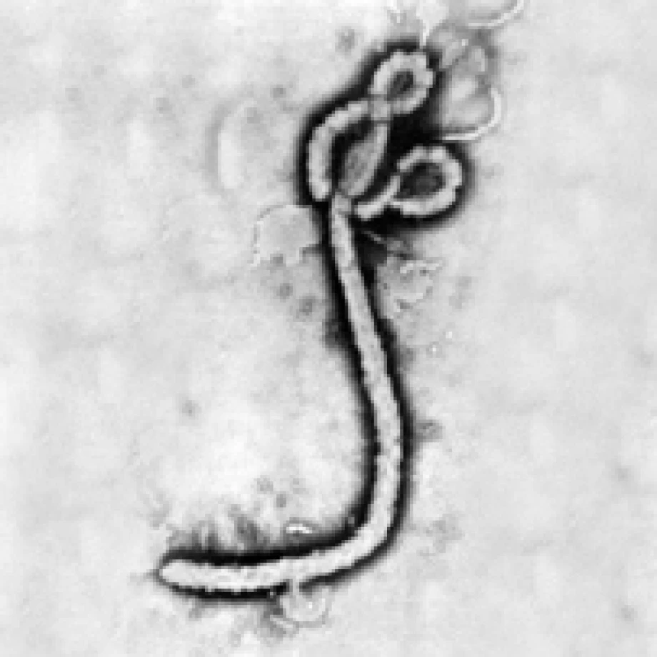Help stop the spread of Ebola