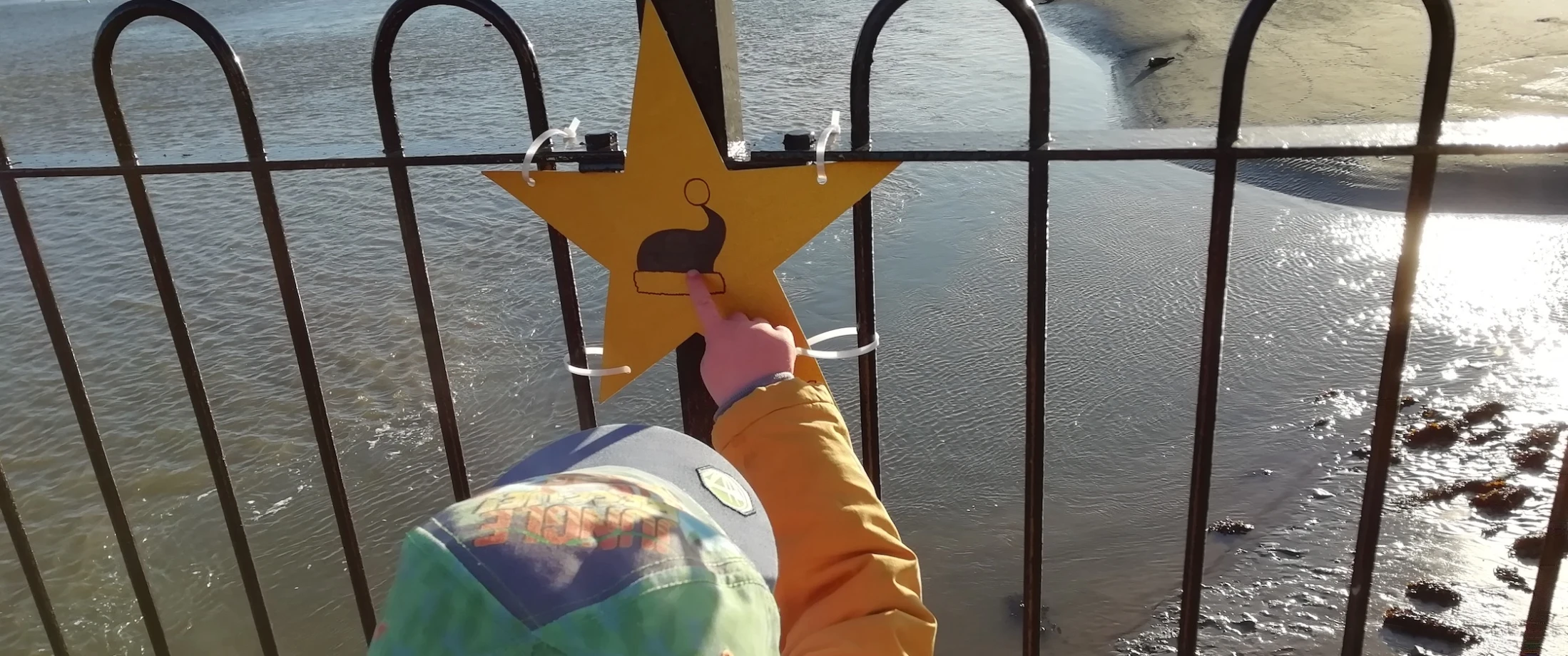 Following the Star in Dundrum