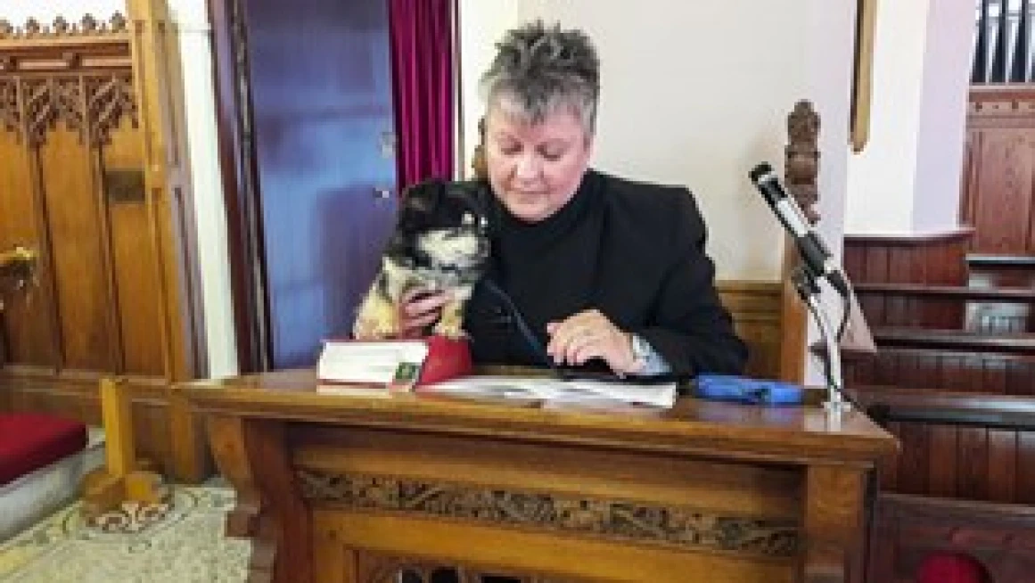 The blessed pets of Ballyphilip!