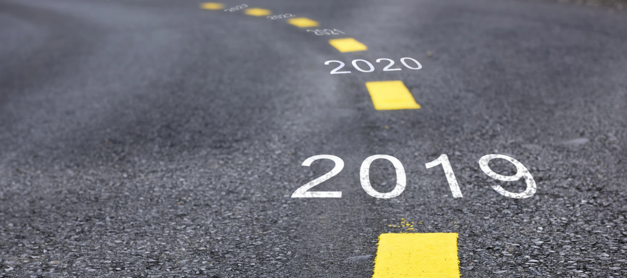 A look back at 2019