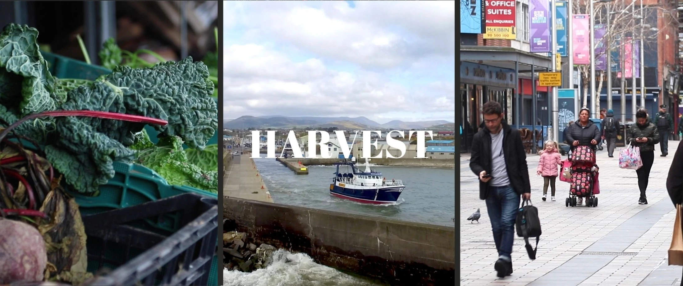 Catch up on our Harvest films