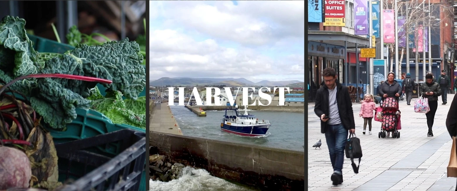 Catch up on our Harvest films