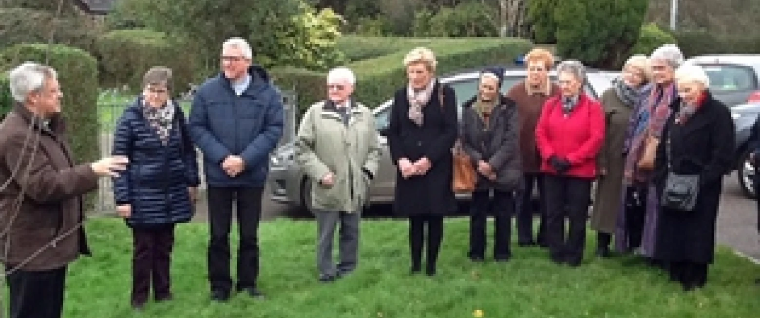Down and Dromore MU plant a commemorative tree 