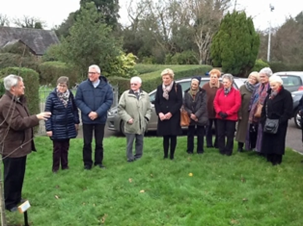 Down and Dromore MU plant a commemorative tree 