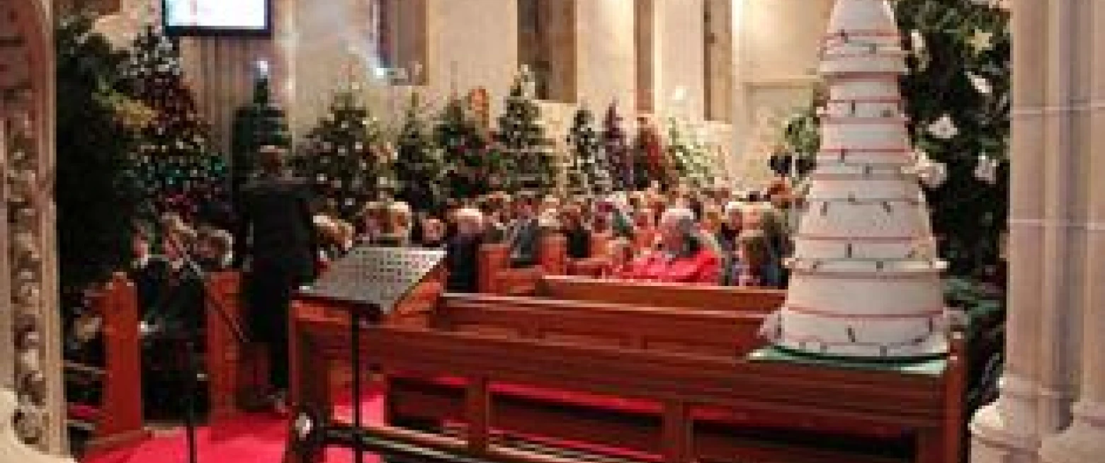 A starring role for Magheralin Christmas trees