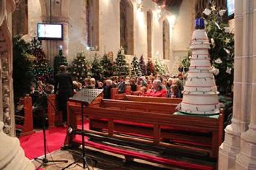 A starring role for Magheralin Christmas trees