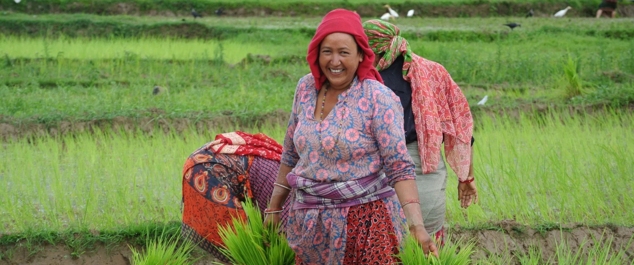 ‘Switched On’ Connects children and families with Nepal