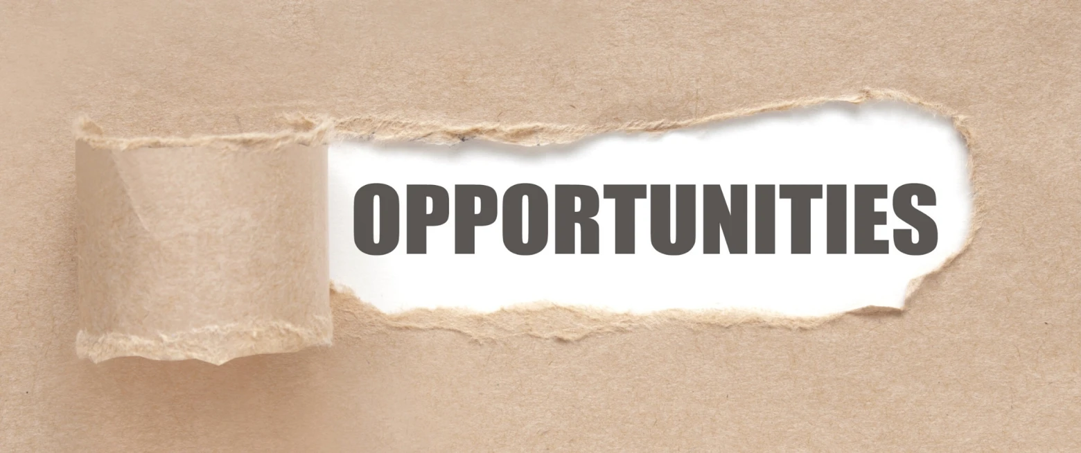 Ministry opportunities in the diocese