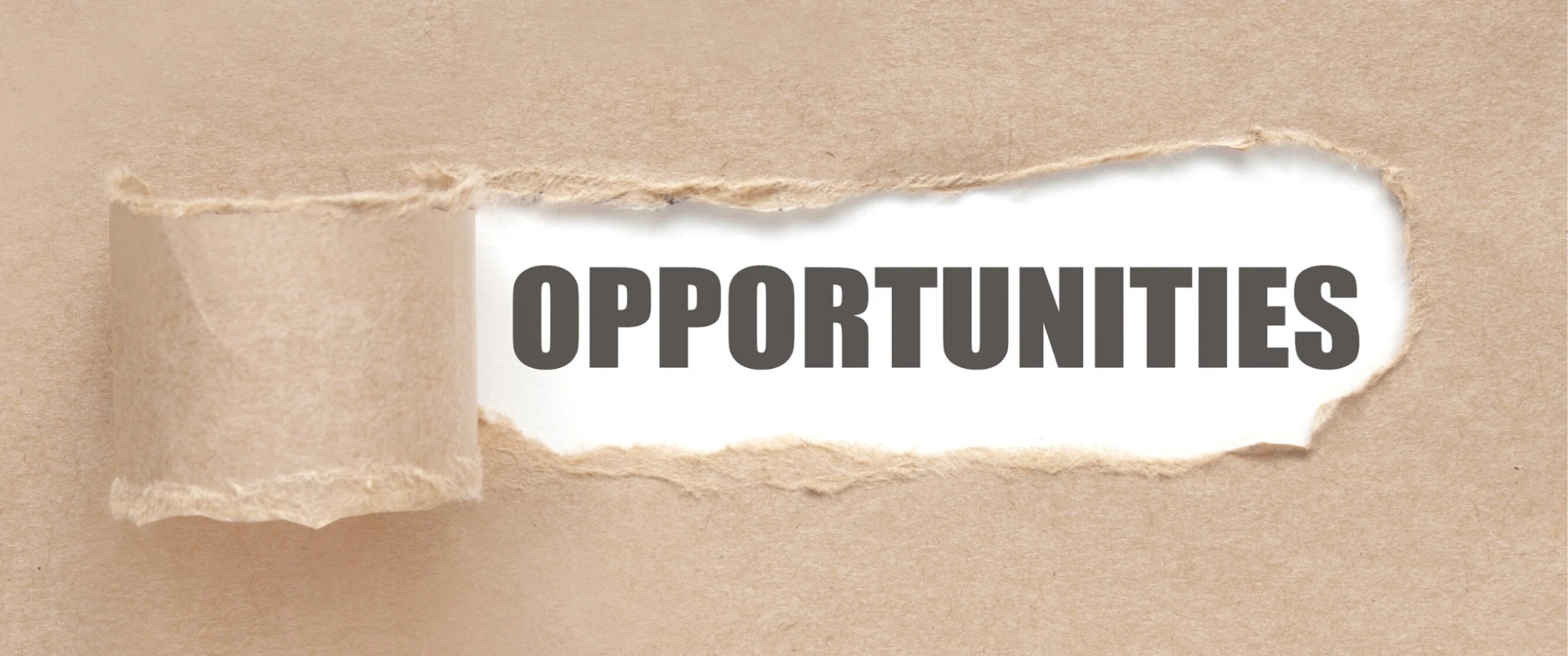 Ministry opportunities in the diocese