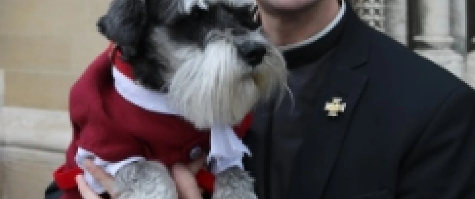 Pets’ Service at Belfast Cathedral a blessing to pets and their owners!