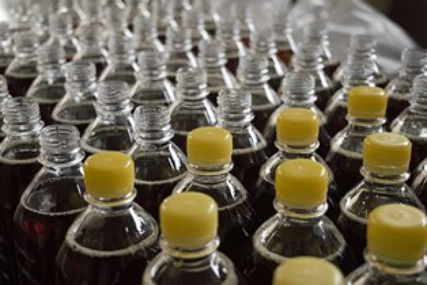 A plastic–free Lent…is it even possible?