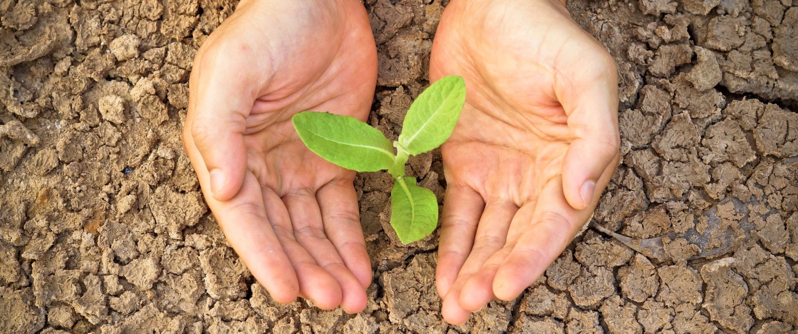 Bishops’ Appeal Harvest Newsletter