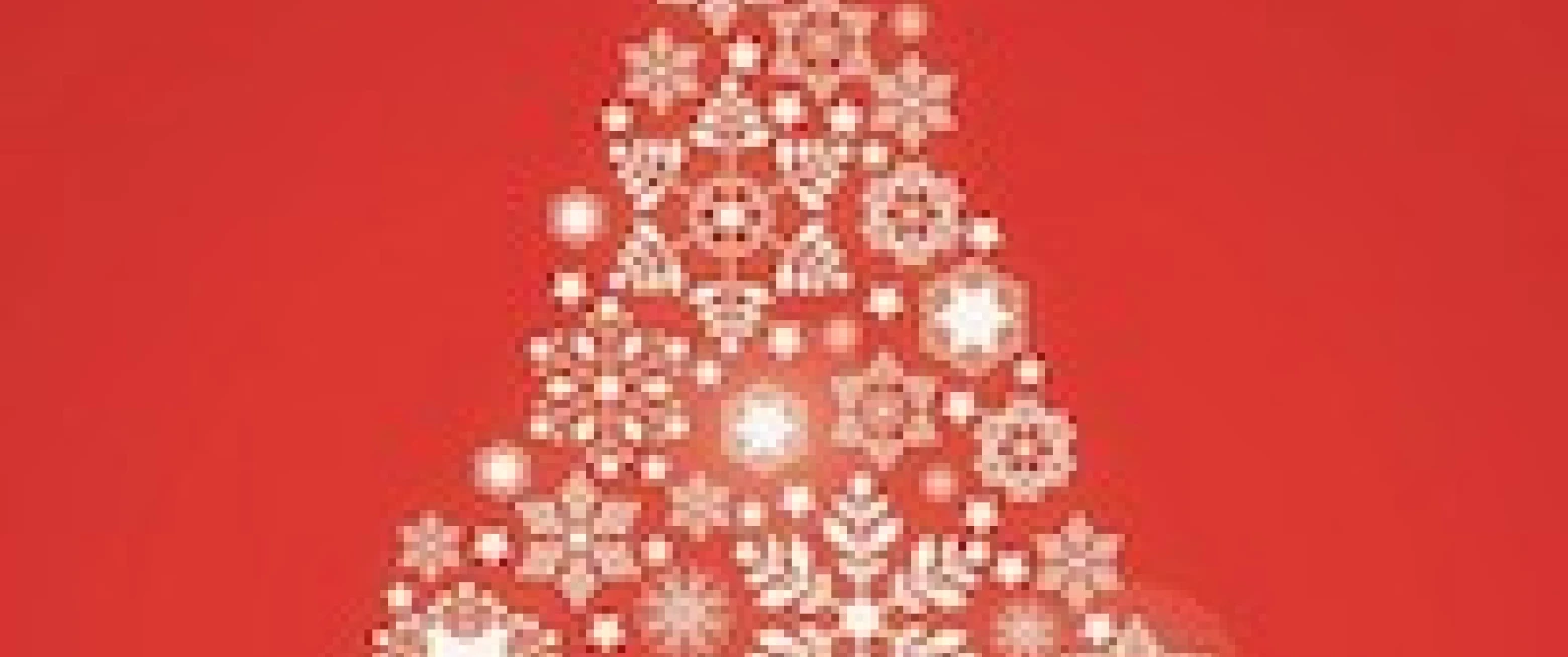 Shankill Parish Lurgan invite you to their Christmas Tree Festival