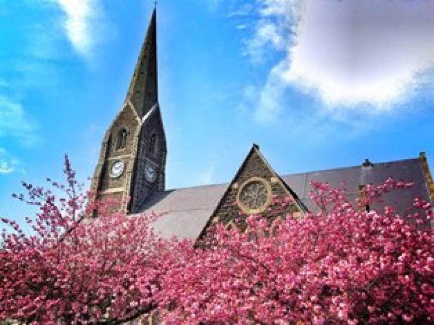 Intern, Shankill Lurgan, closes 9 April