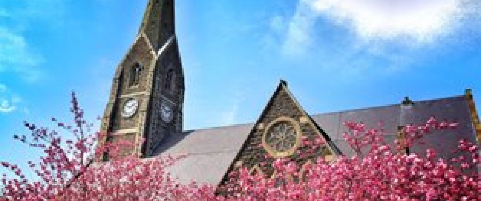 Intern, Shankill Lurgan, closes 9 April