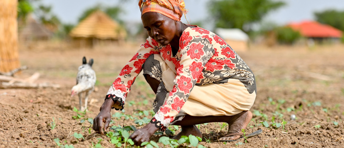 Christian Aid Harvest Appeal for South Sudan