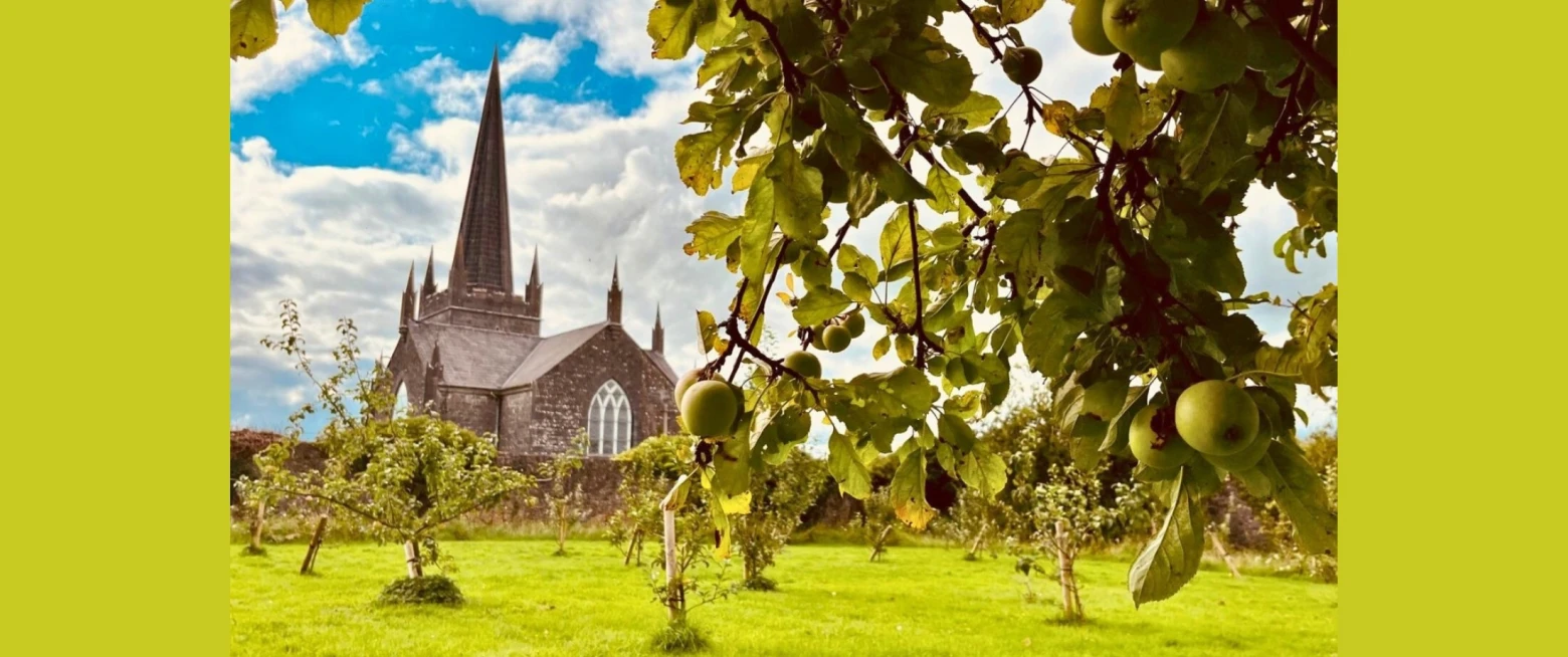 RCB and Benefact Trust launch Buildings Climate Impact Fund