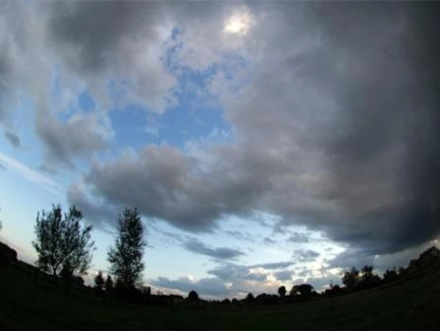 Ring the Changes on Climate Change