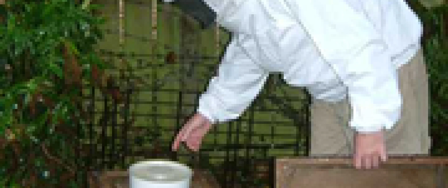 Aslan's Apiary