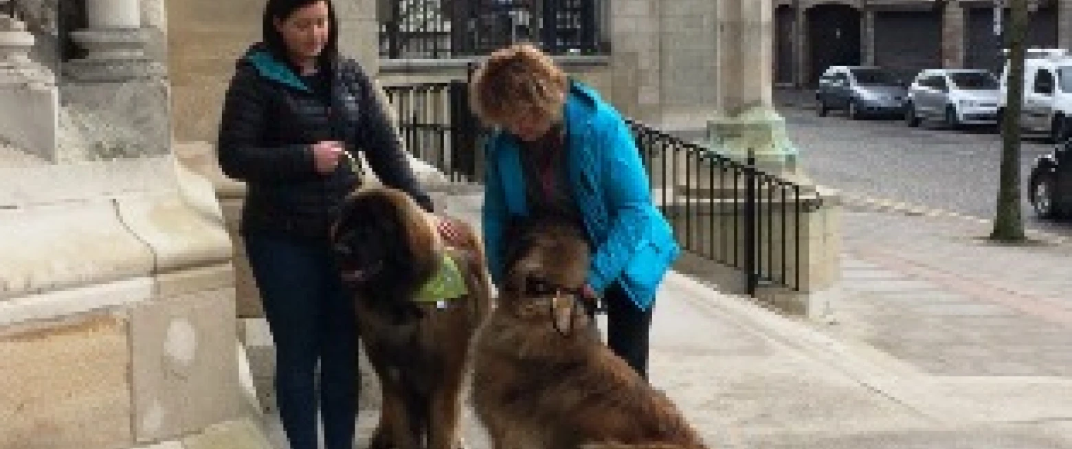 Belfast Cathedral included in dog friendly walking tour