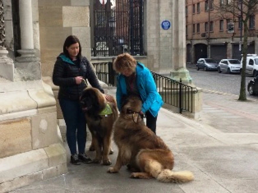Belfast Cathedral included in dog friendly walking tour