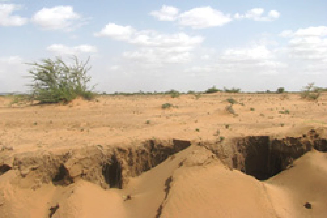 Church leaders launch Call to Action and Appeal for famine victims
