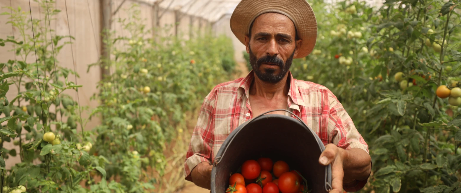 Gaza famine: Christian Aid responds to humanitarian catastrophe