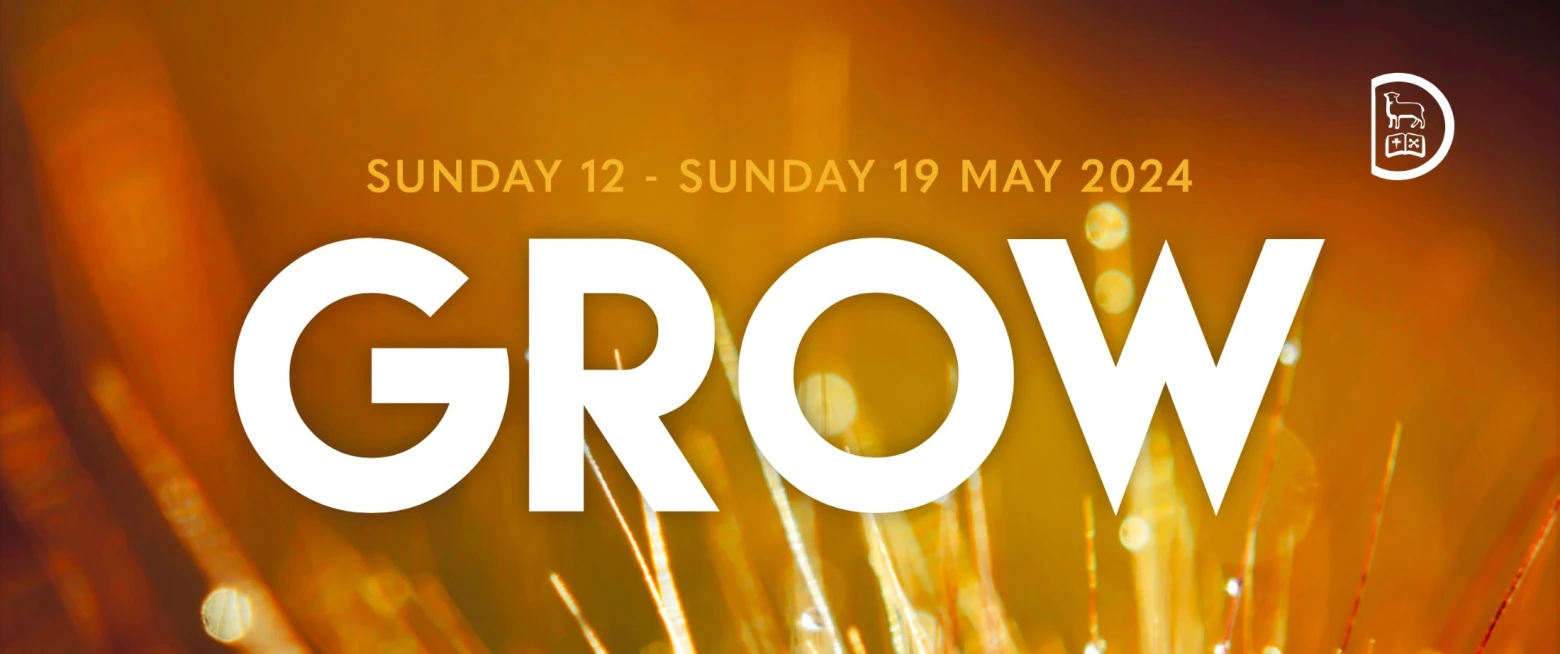 Teaching series to resource church growth