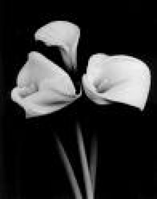 Death of Mary Colthurst