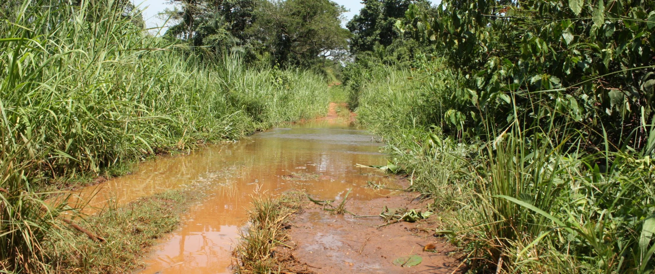 Bicycles urgently needed for Maridi clergy