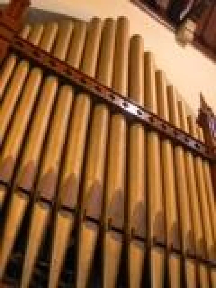 Applications invited for organ scholarships