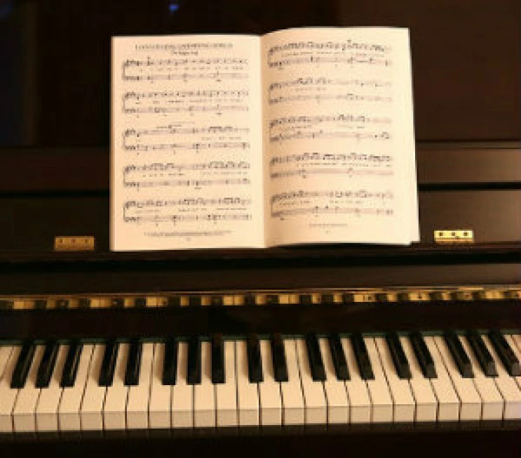 Vacancy for Organist/ Choir Leader, Moira