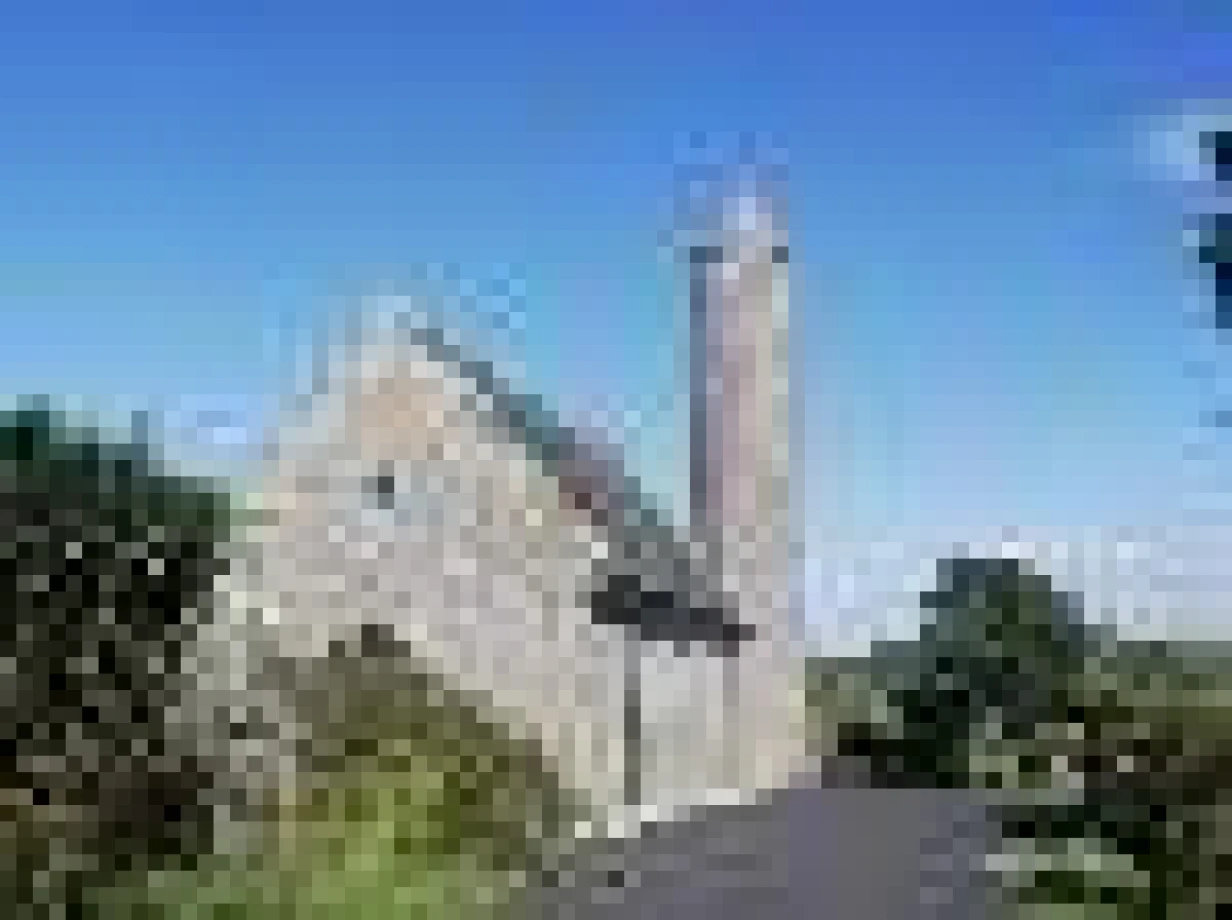 Bishop's St Patrick's Day Message
