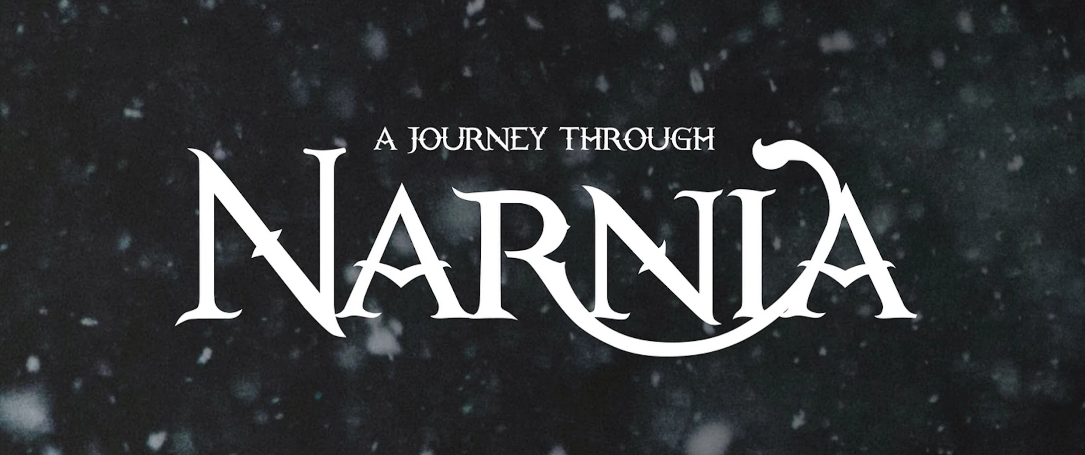 Willowfield Christmas Tree Festival