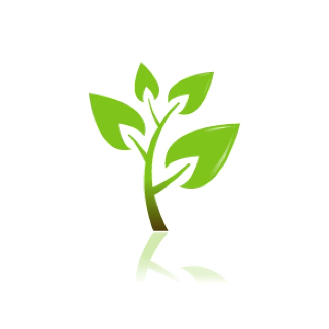 Boring Wells gap year team return from Sheffield