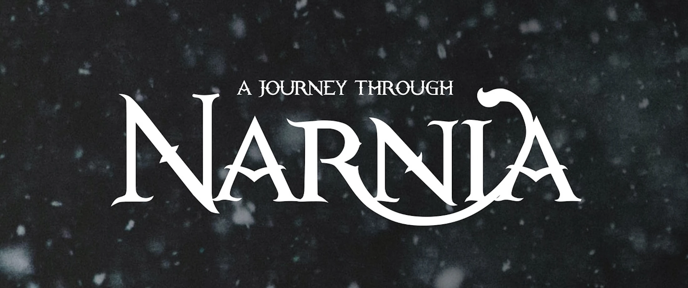 Willowfield Christmas Tree Festival